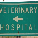 veterinary-hospital